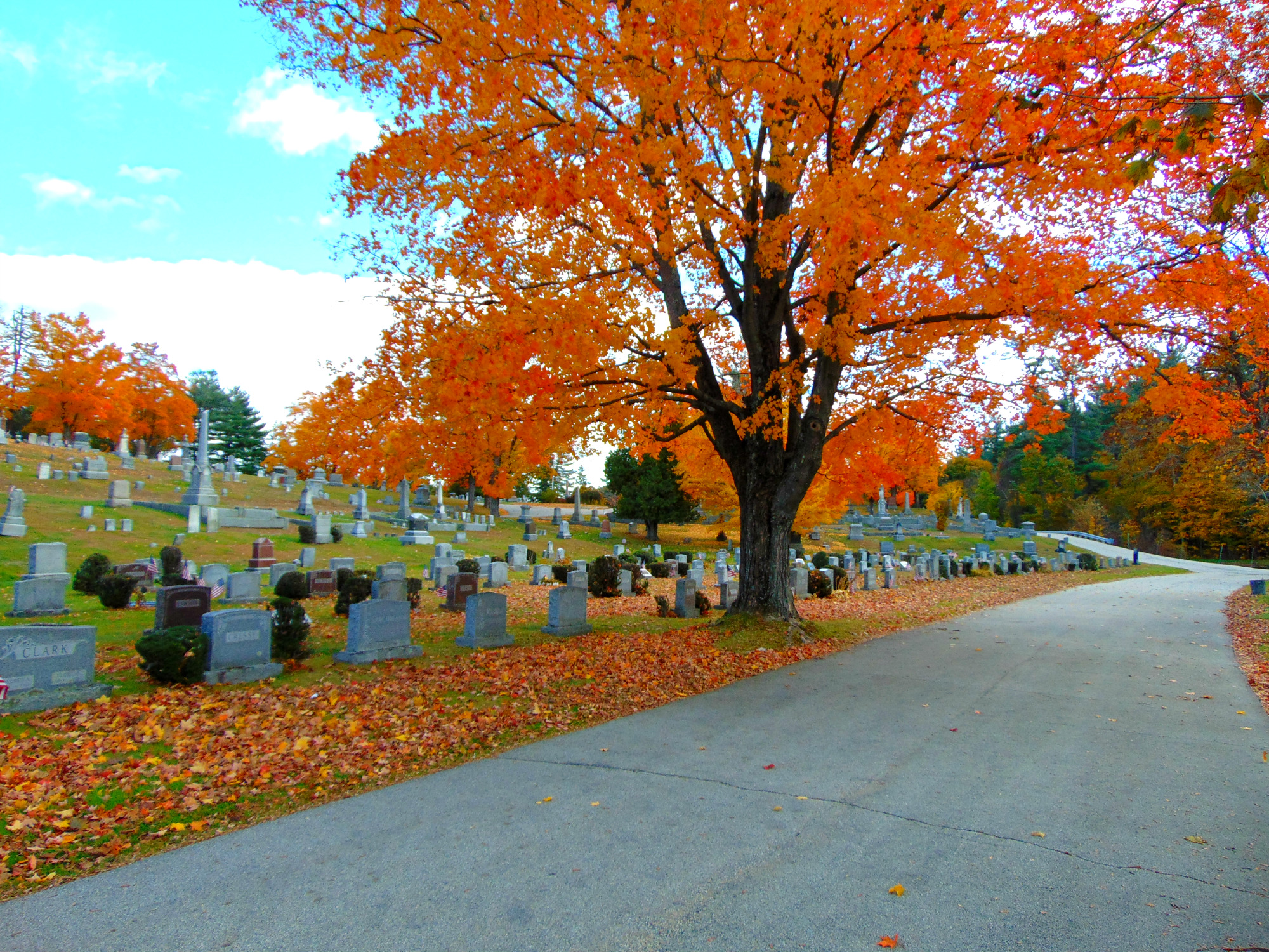 Blossom Hill Cemetery