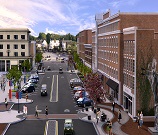 Comprehensive Transportation Policy Picture