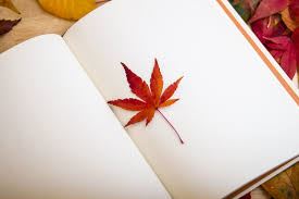 Leaf in book