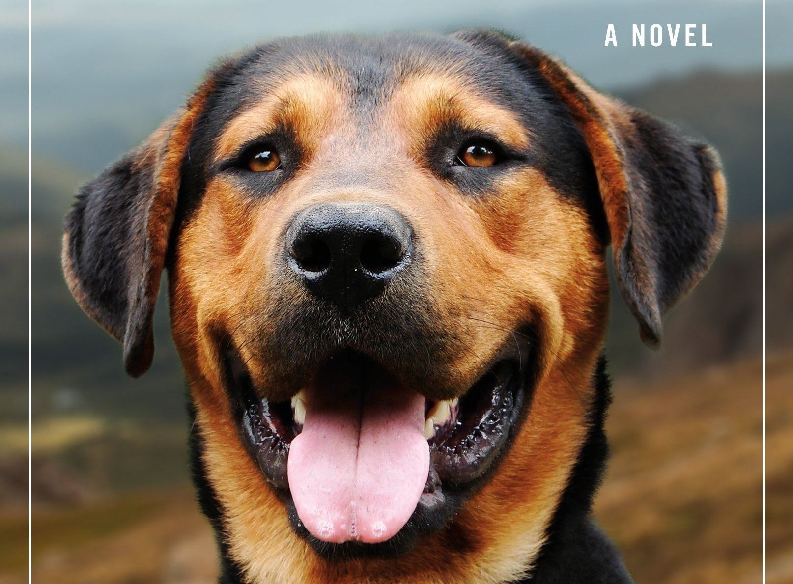 A Dog's Way Home Book Cover