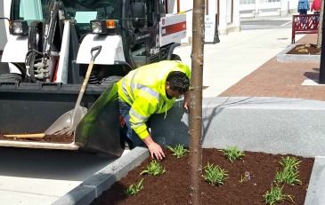 Downtown Services Seasonal Summer Laborer
