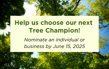 Tree Champion Award tile